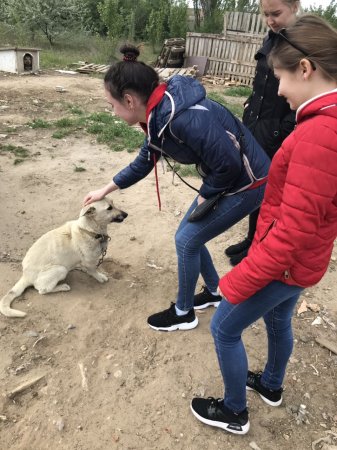 Допомагаючи тваринам, ти залишаєшься людиною