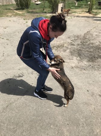 Допомагаючи тваринам, ти залишаєшься людиною