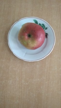 24.05.2019 п'ятниця