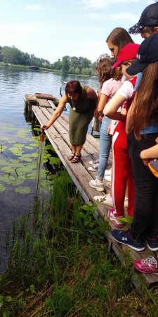 Звіт з навчальної практики 8 класи