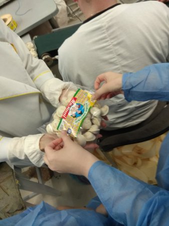 Звіт з навчальної практики 10 класи