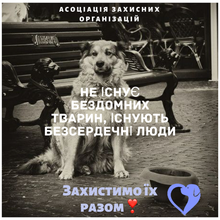 Кращі роботи учнів під час карантину