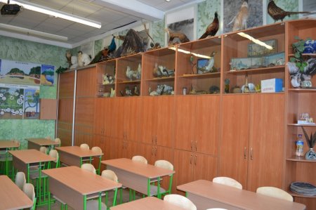 Фотогалерея "Ліцей-2020"