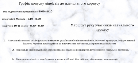 Функціонування ліцею в умовах карантину