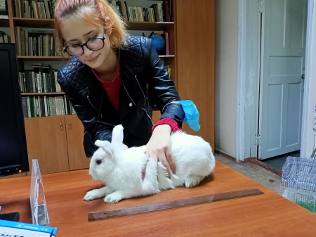 Дотик природи 2020