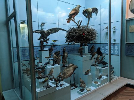 3 червня 8-ПР відвідав краєзнавчий музей