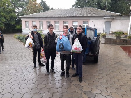 Допомога приюту "4 лапи"