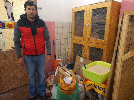 Допомога приюту "4 лапи"