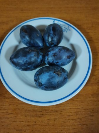 24.09.2021 п'ятниця