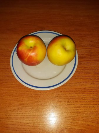 26.09.2021 неділя