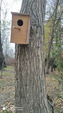 Екологічна акція «Годівничка»