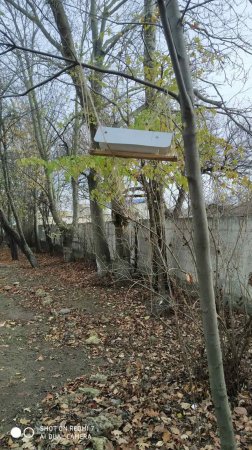 Екологічна акція «Годівничка»