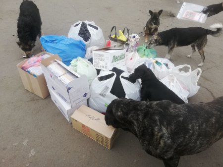 Дякуємо усім небайдужим!