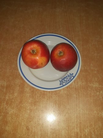 18.12.2021 субота