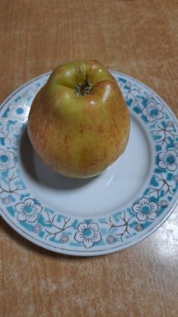 17.01.2022 понеділок