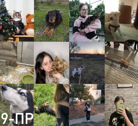 Урок доброти