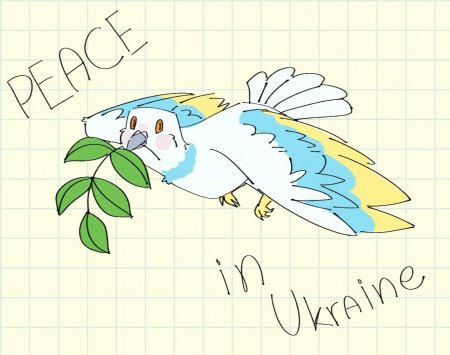 Листи, малюнки військовим