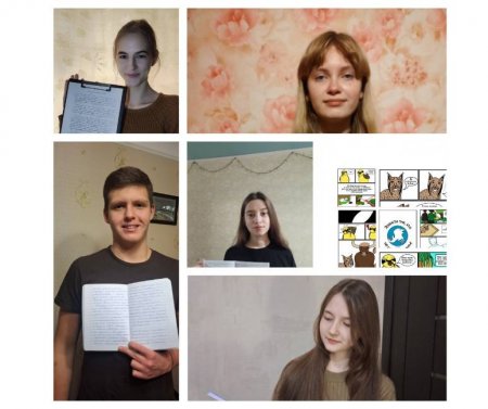 Конкурс "Якби тварини могли говорити"